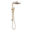 250mm Square Brushed Yellow Gold Shower Station