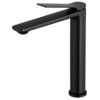 RUSHY Matte Black Tall Basin Mixer