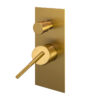 CADDENCE Brushed Yellow Gold Wall Mixer with Diverter - Image 2